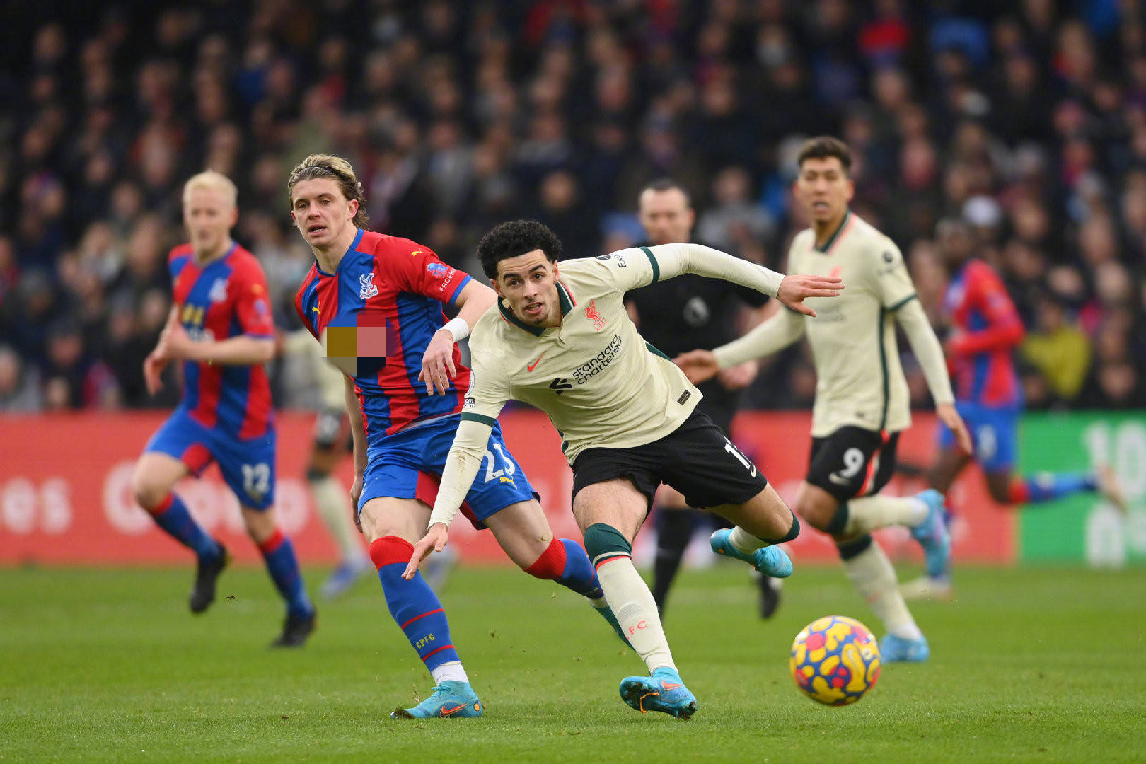 盟国米而非 盟国米而非