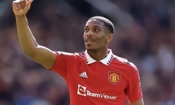 合作的意向 合作的意向